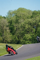 Middle Group Red Bikes